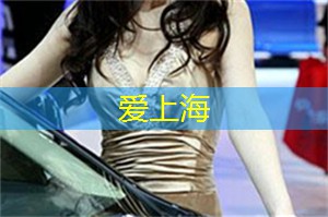 打卡夜间观光巴士：一览城市风光